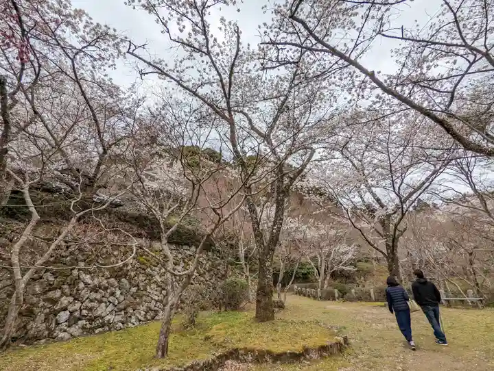勝持寺(花の寺)(京都府)