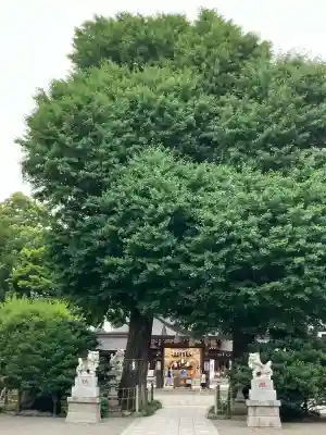亀ケ池八幡宮(神奈川県)