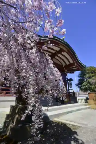 千住神社(東京都)