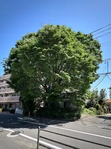 小野神社(東京都)