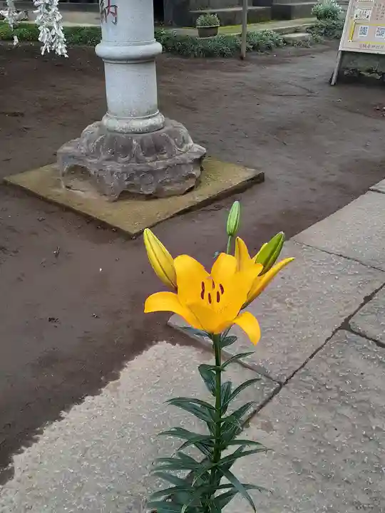 伏木香取神社(茨城県)