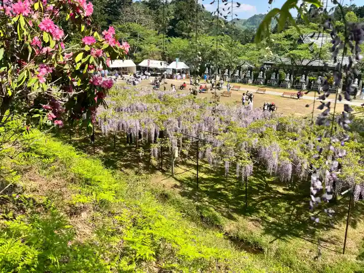 天台宗 五大山 白毫寺(兵庫県)