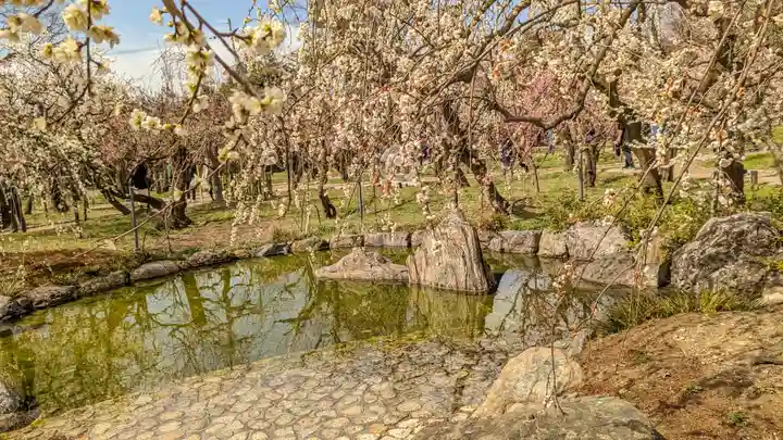 北野天満宮(京都府)
