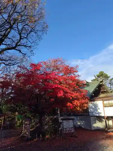 厚別神社(北海道)