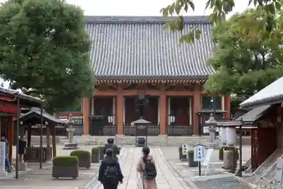 壬生寺の本殿・本堂