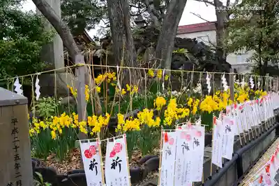 素盞雄神社のその他建物