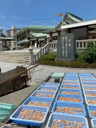 亀山八幡宮の建物その他