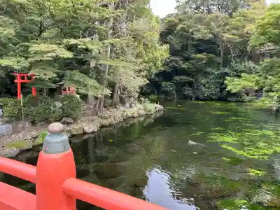 富士山本宮浅間大社の{uncategorized: "未分類", other: "その他", undefined: "問題あり", building: "その他建物", grave: "お墓", sacred_gate: "鳥居", guardian: "狛犬", statue: "像", buddha: "仏像", history: "歴史", nature: "自然", garden: "庭園", animal: "動物", pagoda: "塔", temizu: "手水舎", mountain_gate: "山門・神門", sanctuary: "本殿・本堂", subordinate: "末社・摂社", art: "芸術", scenery: "景色", jizo: "地蔵", ema: "絵馬", goshuin: "御朱印", omikuji: "おみくじ", items: "授与品その他", amulet: "お守り", goshuincho: "御朱印帳", eats: "食事", festival: "お祭り", votive_dance: "神楽", shichigosan: "七五三参", wedding: "結婚式", experience: "体験その他", initially: "初詣", around: "周辺", anti_infection: "感染症対策"}
