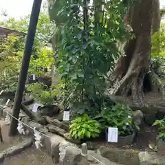 瀬戸神社(神奈川県)