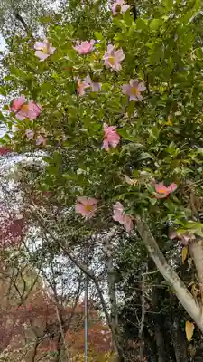 長岡天満宮(京都府)