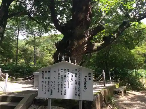 那須温泉神社の歴史