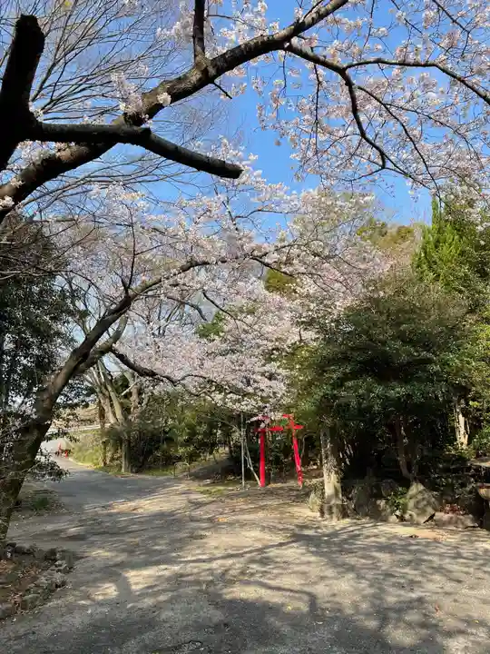 西光寺(相持院)の自然