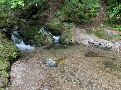 多度大社の自然