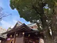 湯島天満宮の本殿・本堂