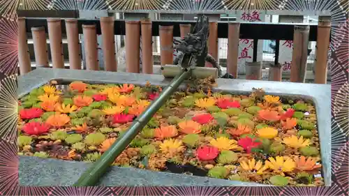 高円寺氷川神社(東京都)