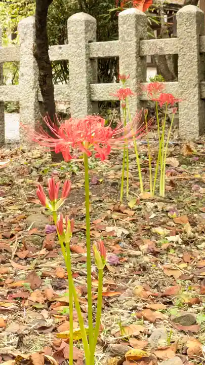 平野神社(京都府)
