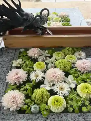 川越八幡宮(埼玉県)