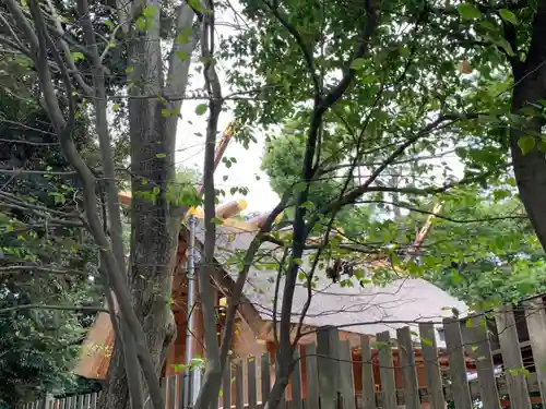 伊勢山皇大神宮の本殿・本堂