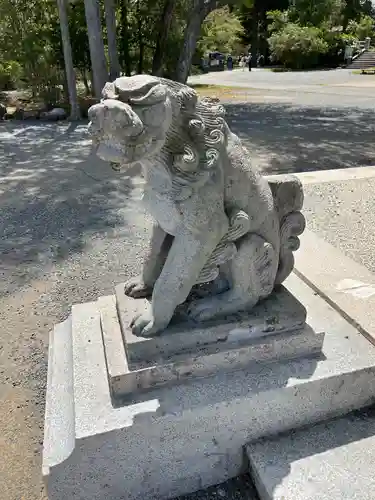 宮城縣護國神社の狛犬