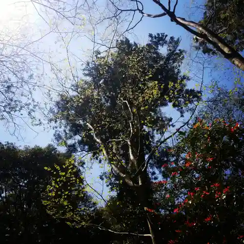 鹿島神宮の自然