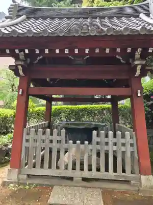 護国寺の{uncategorized: "未分類", other: "その他", undefined: "問題あり", building: "その他建物", grave: "お墓", sacred_gate: "鳥居", guardian: "狛犬", statue: "像", buddha: "仏像", history: "歴史", nature: "自然", garden: "庭園", animal: "動物", pagoda: "塔", temizu: "手水舎", mountain_gate: "山門・神門", sanctuary: "本殿・本堂", subordinate: "末社・摂社", art: "芸術", scenery: "景色", jizo: "地蔵", ema: "絵馬", goshuin: "御朱印", omikuji: "おみくじ", items: "授与品その他", amulet: "お守り", goshuincho: "御朱印帳", eats: "食事", festival: "お祭り", votive_dance: "神楽", shichigosan: "七五三参", wedding: "結婚式", experience: "体験その他", initially: "初詣", around: "周辺", anti_infection: "感染症対策"}