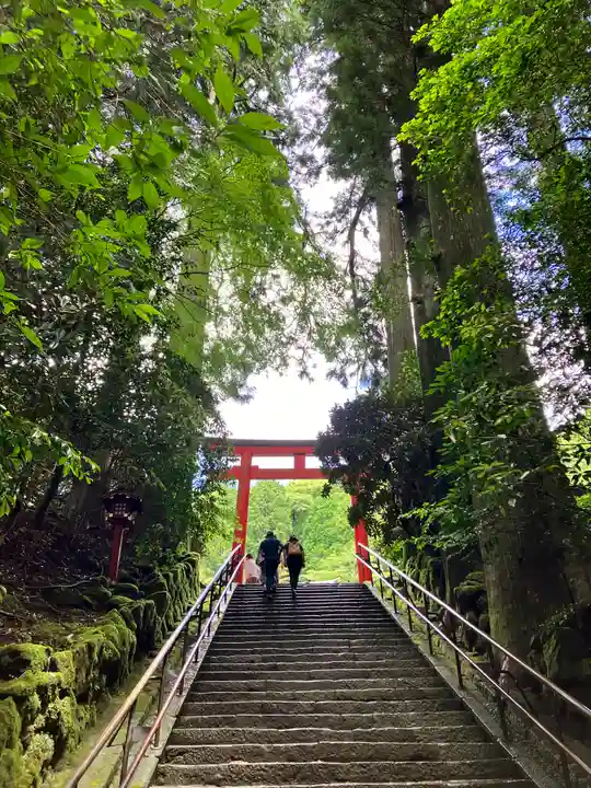 箱根神社(神奈川県)