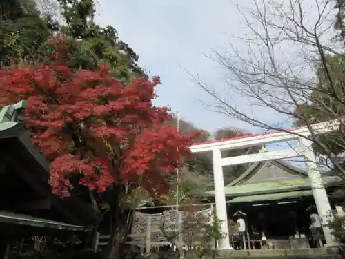 鎌倉宮の鳥居