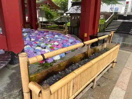 太宰府天満宮の手水舎