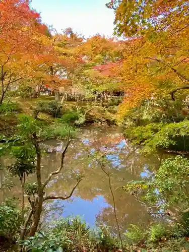 圓光寺(京都府)