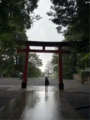 霧島神宮(鹿児島県)