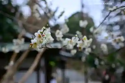 永谷天満宮(神奈川県)