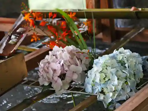 太龍寺の手水舎