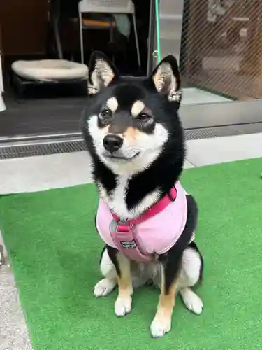 【閉業】小石川大神宮(東京都)
