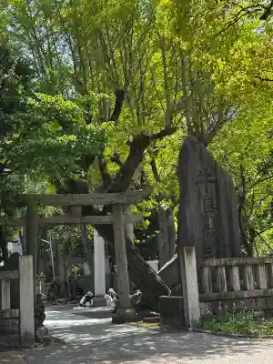 牛嶋神社(東京都)
