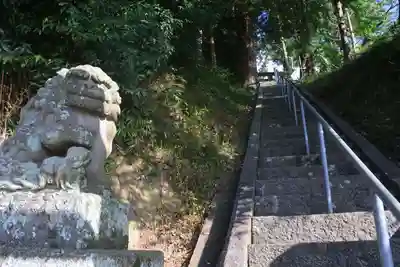 阿久津「田村神社」(郡山市阿久津町)旧社名:伊豆箱根三嶋三社の狛犬