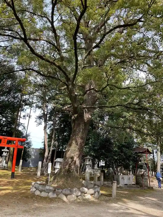 坂手神社(愛知県)