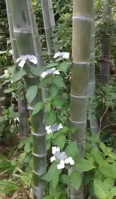 長谷寺(神奈川県)