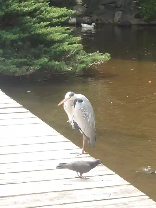 平塚八幡宮(神奈川県)