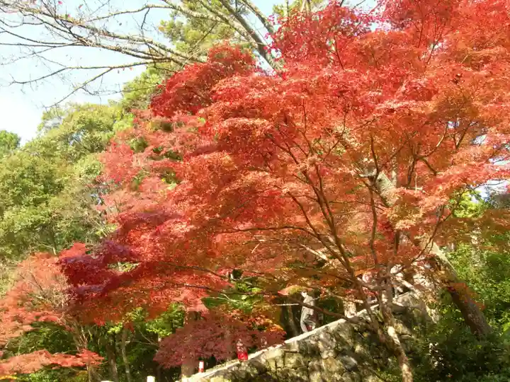 神護寺(京都府)