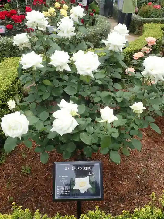 大國神社(東京都)