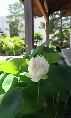 松本山 地福禅寺(滋賀県)