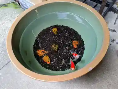 日本橋日枝神社(東京都)