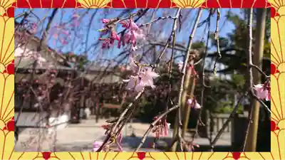 尾久八幡神社(東京都)