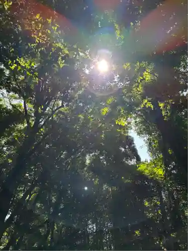 サムハラ神社 奥の宮(岡山県)