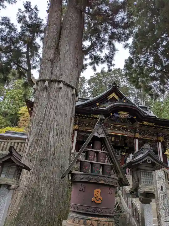 三峯神社(埼玉県)