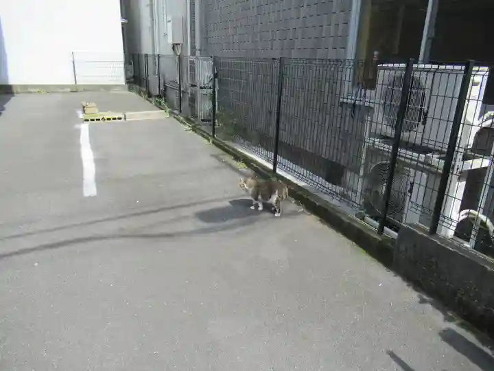 熱田神社の動物