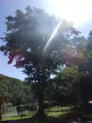 北湯沢三峯神社の自然