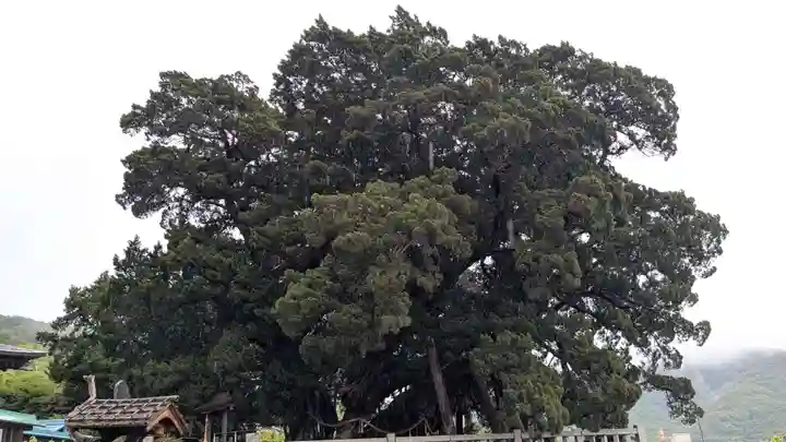 寶生院(香川県)