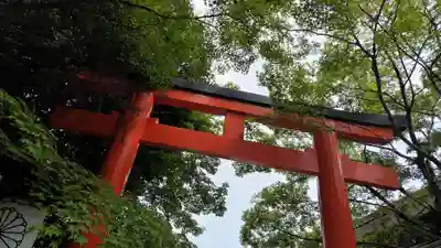 賀茂御祖神社（下鴨神社）(京都府)