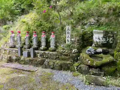 龍澤寺(京都府)